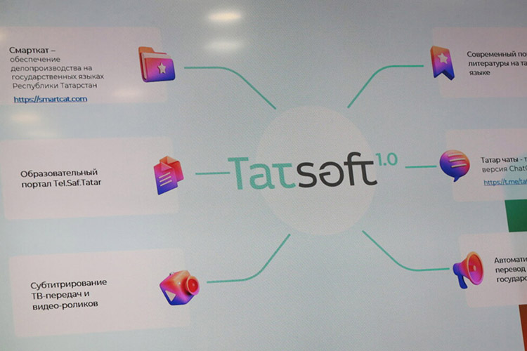 TatSoft обошелся бюджету в 6,8 млн рублей