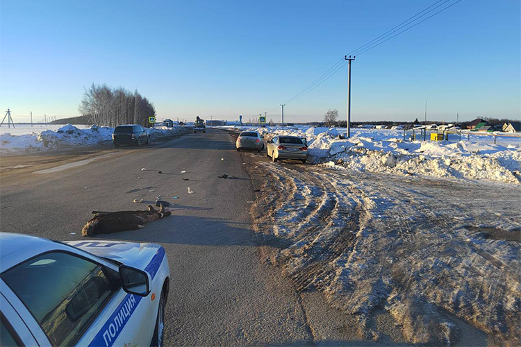 Смертельная авария случилась рано утром 6 марта на трассе недалеко от выезда на М-12