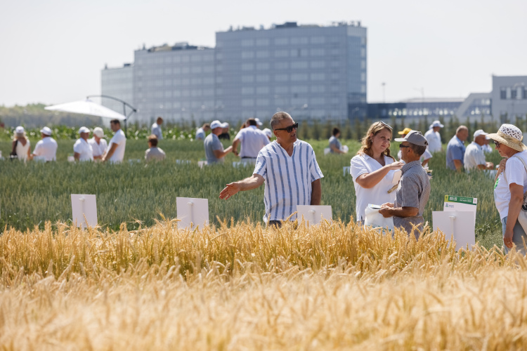 Цены на зерновые традиционно не радуют: на фуражную пшеницу — 10 тыс. рублей за тонну, пшеницу третьего класса — до 14 рублей, четвертый класс — 12,5 рублей