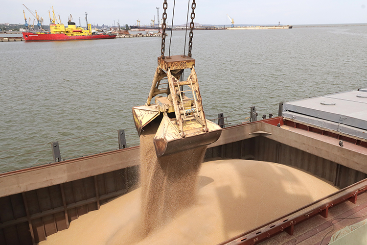 В тройке перспективных импортеров зерна из Татарстана, отгружаемого на морские сухогрузные балкеры из порта Кавказ в этом году, стоят Египет (33 тыс. тонн), Алжир (15 тыс. тонн) и Иран (5 тыс. тонн)
