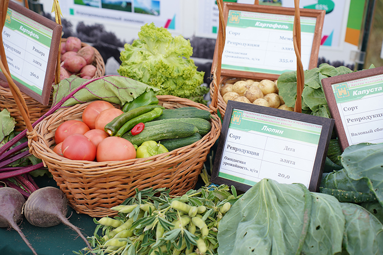 Спрос на сельхозпродукцию в республике существенно ниже, чем предложение