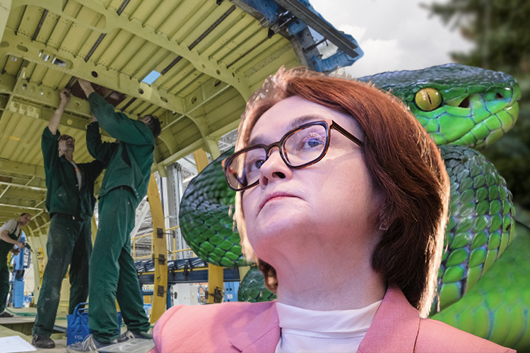 Кризис – и яд, и лекарство: ждет ли бизнес вал банкротств в 2025 году?