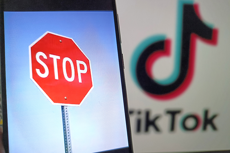 Запрет TikTok отложили на 75 дней