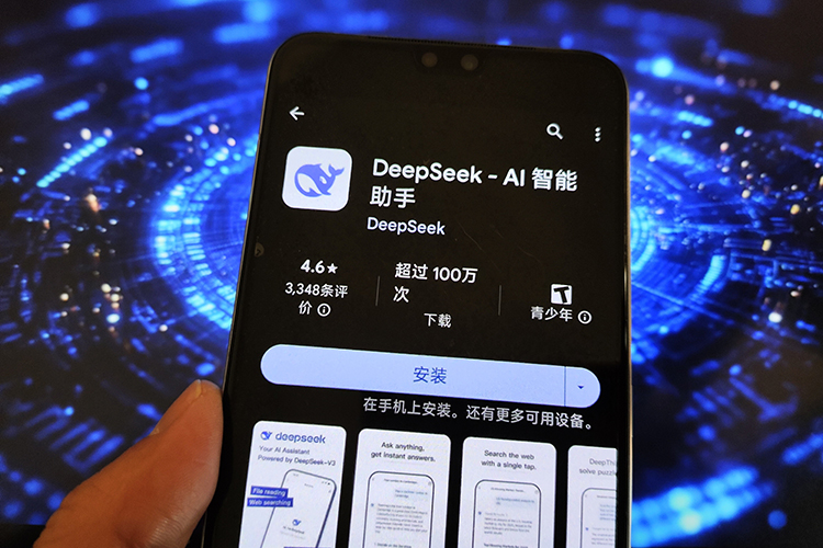 Большая языковая модель R1 китайской фирмы DeepSeek