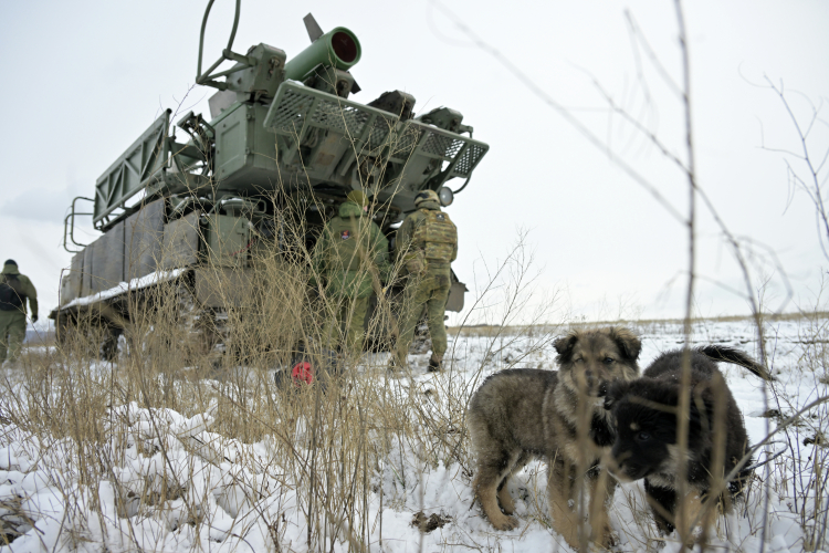 К седьмому числу ВСУ потеряли 205 военнослужащих, российские солдаты уничтожили три танка, бронетранспортер, 15 боевых бронированных машин и 17 автомобилей