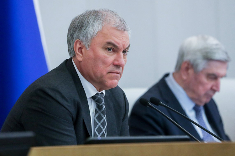 Володин – Кравцову: «Надо прекращать в иллюзорном мире находиться, уже президент говорит о проблемах!»