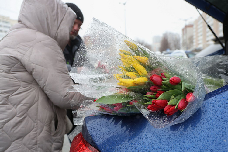 «Все тюльпаны, которые выращены в России, — 100-процентно голландские луковицы. В России луковицы не производят»