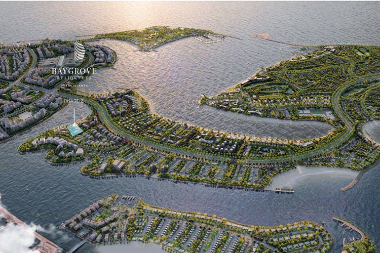 «Эксперты прогнозируют, что в 2025–2026 годах рынок продолжит рост, но более умеренными темпами»