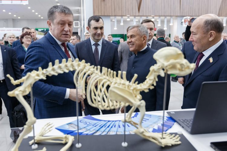 «Рустам Равилов остается на своем месте — директором института. Пока я сам только исполняющий обязанности, не собираюсь менять никого из директоров и проректоров»