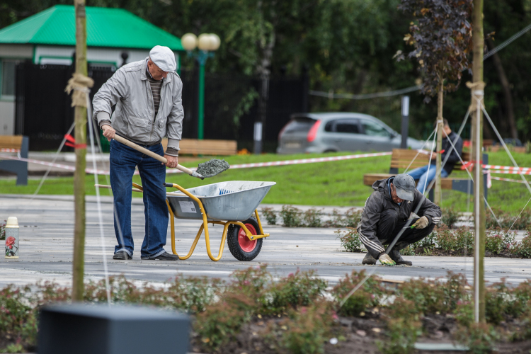 «На общегородском субботнике жители могут высадить деревья и кустарники в своих дворах. И группы активистов есть»