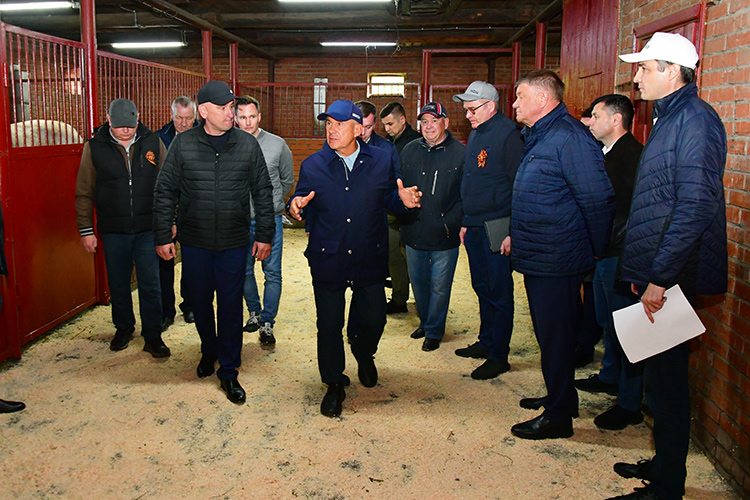 Из Тукаевского района глава республики приехал в Новошешминский. На конном заводе для Минниханова даже устроили что-то вроде показа лошадей различных пород