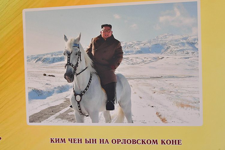 Хозяйство поставляет лошадей для кавалерийского полка лидера Северной Кореи Ким Чен Ына