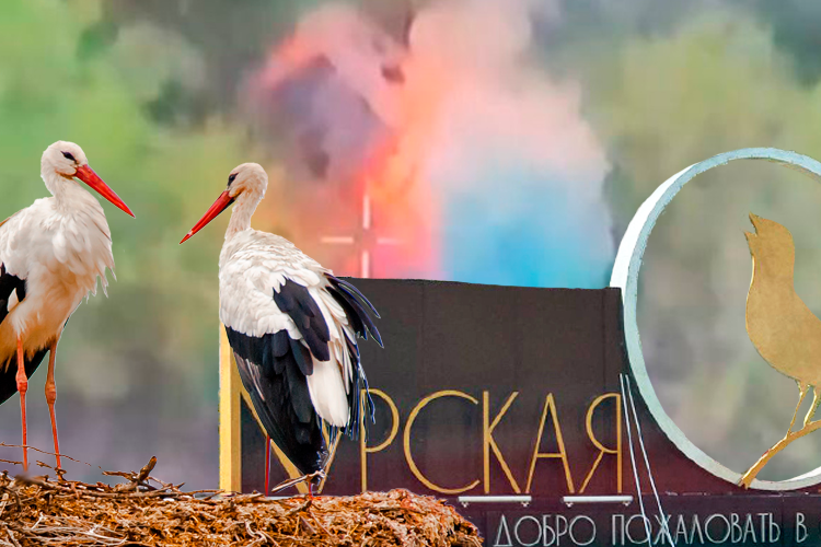 Responsive image