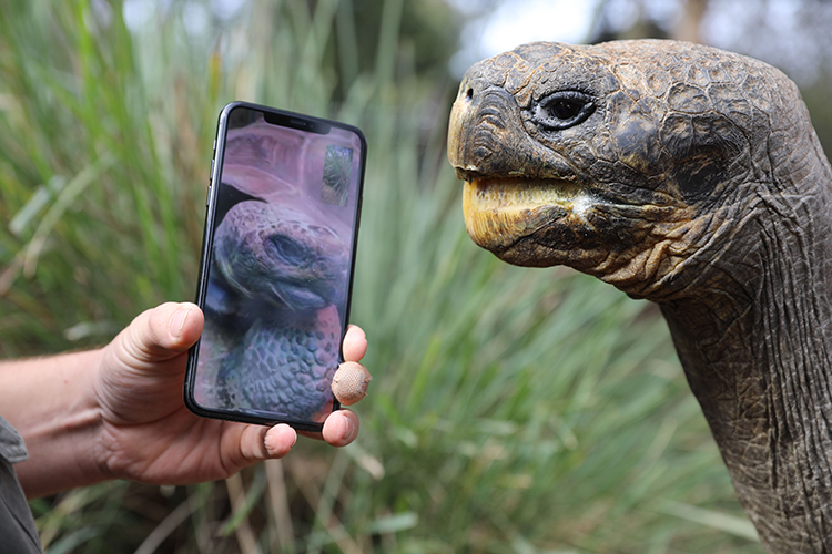 В своей новом гаджета HomePad Apple делает акцент на видеосвязи через FaceTime