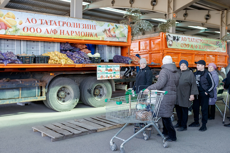 Овощным королем в Лаишевском районе является агрофирма «Нармонка»