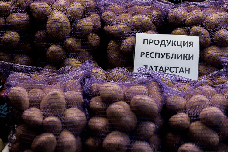Республика Татарстан занимает 3-е место в России по производству картофеля (1-е в ПФО), для сравнения: 7-е — по сахарной свекле, 11-е — по валовому сбору овощей