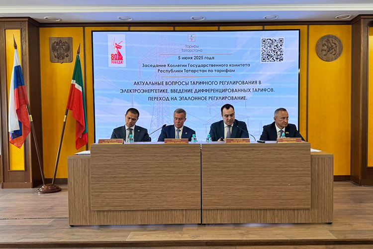 Главными темами для обсуждения стали введение дифференцированных тарифов на электроэнергию и переход на эталонное регулирование сетевых компаний