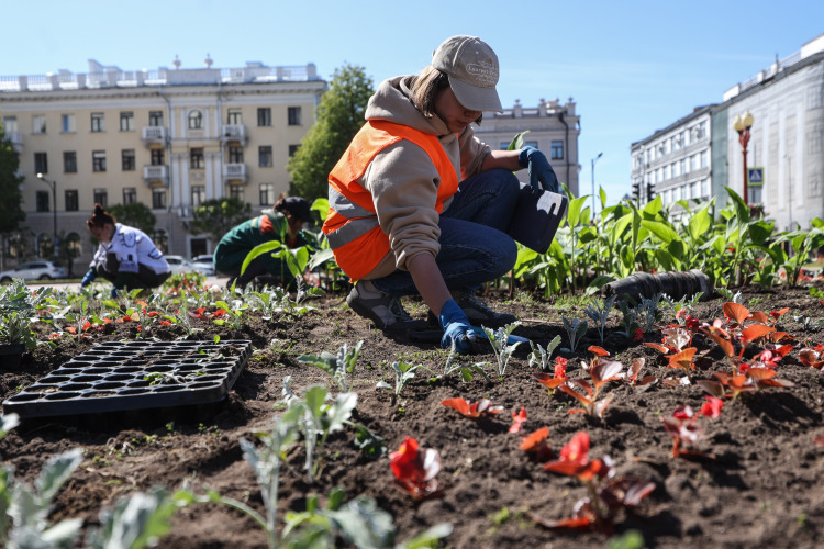 Процент озеленения города в течение следующих 10 лет должен вырасти с 32,7 до 39%