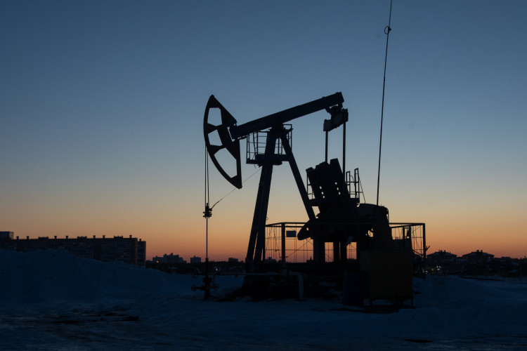 С начала 2023 года Европа закупила российскую нефть на более чем 20 млрд евро, став четвертым по объему покупателем