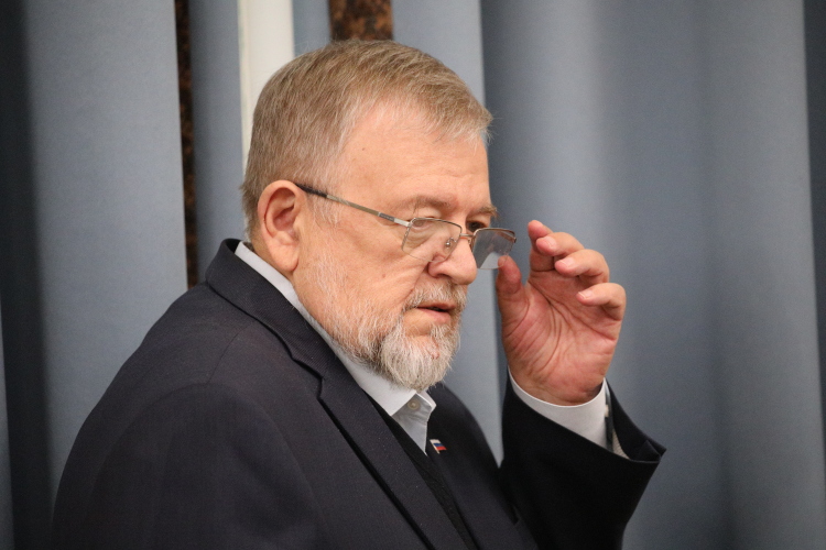 Владимир Зорин тоже считает достоинством новой стратегии то, что особое внимание уделено сохранению и развитию культуры русского народа как «своеобразной скрепы гражданского общества»