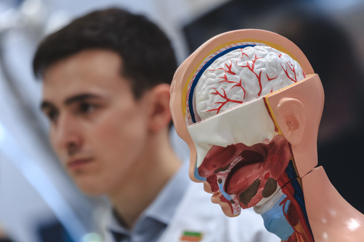 После более чем пяти десятилетий исследований мозговые имплантаты незаметно превратились из экспериментальных диковинок, ограниченных исследовательскими лабораториями, в функциональные инструменты, которые действительно меняют жизнь