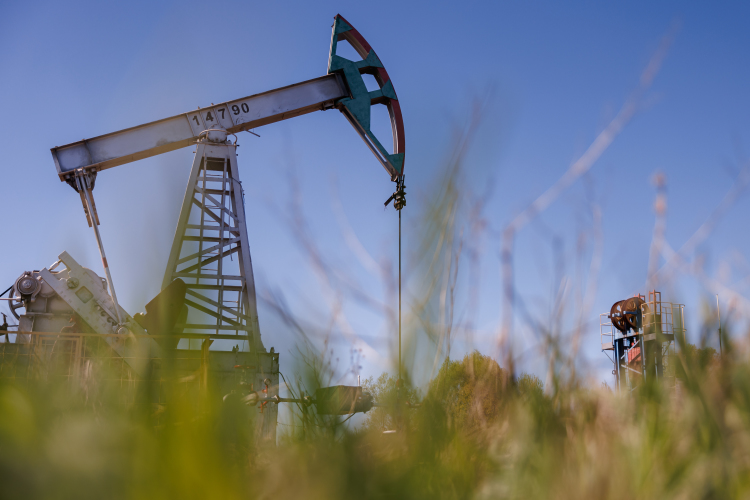 Средняя цена российской нефти марки Urals в первом полугодии 2025-го составила $68 за баррель против $82 за баррель в 2024 году