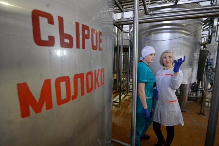 «Производственные издержки растут быстрее, чем цены»: молочные итоги 2024 года
