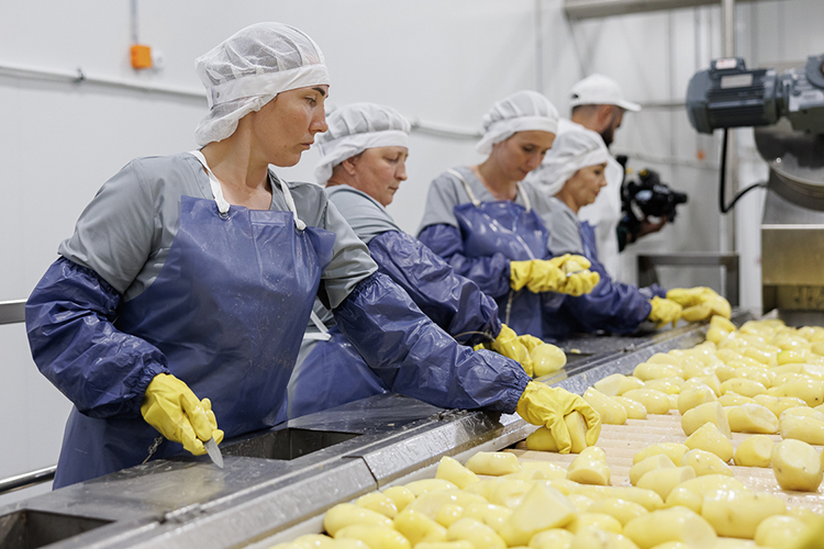 Производственная мощность составляет 3 т готовой продукции в час. На предприятии установили технологическую линию китайского производства