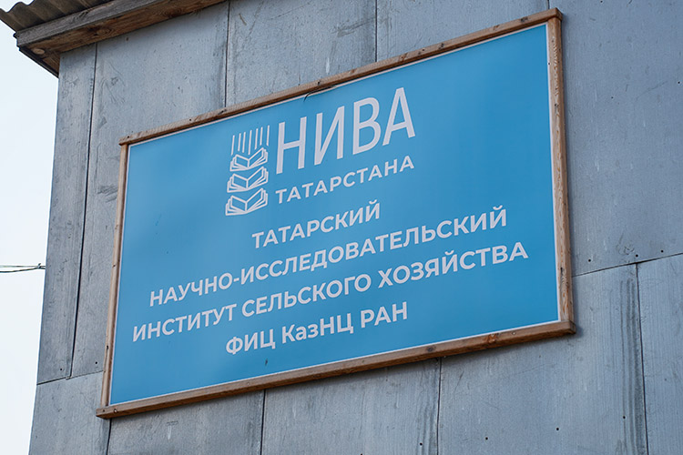 «В 90-х наш институт носил название «Научно-производственное объединение «Нива Татарстана». Это название мы взяли для бренда. Год назад начали этот бизнес-проект. Сделали брендбук, свою цветовую гамму»
