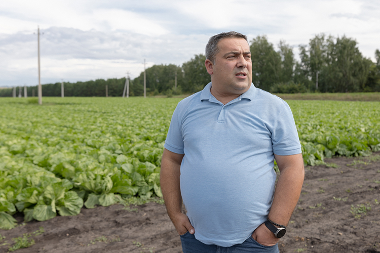 «Продукция наших фермеров продается в сетях «Пятерочка», «Магнит», «Лента», «Табыш», «Байрам». В один сезон мы отгружаем примерно 300 тонн салата для бренда «Белая дача»