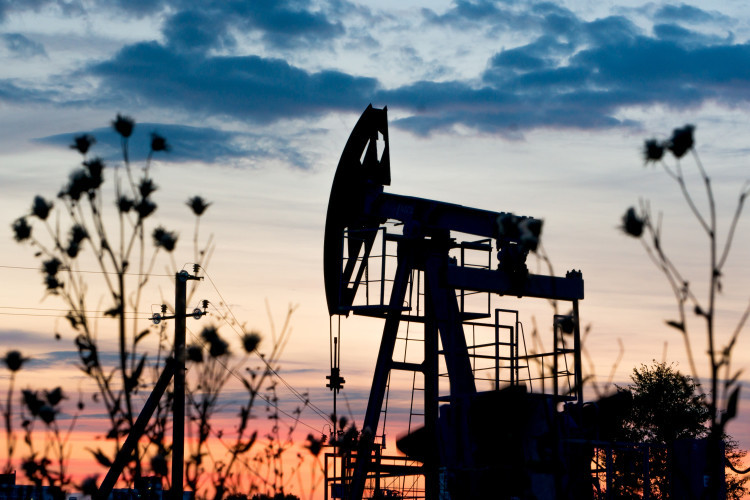 Основной вклад в казну региона обеспечивают обрабатывающие производства, нефтехимия и нефтепереработка, машиностроение и др.
