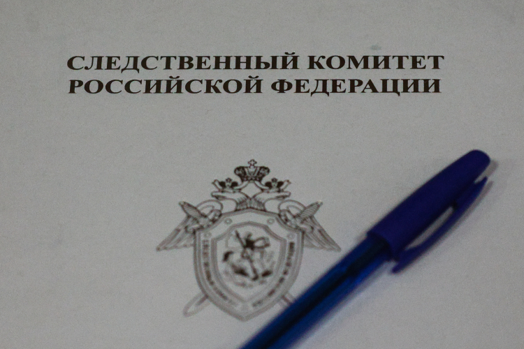 Дело возбуждено по признакам преступлений, предусмотренных п. «б» ч. 3 ст. 205 УК РФ («Террористический акт»)