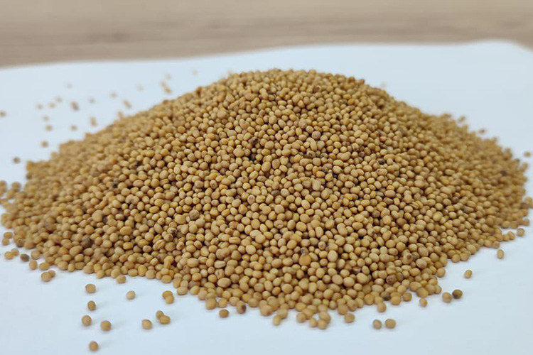 Предпринимательница Ирина Толмачева утверждает, что злосчастная партия горчицы — именно производства агрохолдинга «АПК «Продпрограмма» (АПК «Продпрограмма», АПК), которая принадлежит Рифату Мутигуллину Предпринимательница Ирина Толмачева утверждает, что злосчастная партия горчицы — именно производства агрохолдинга «АПК «Продпрограмма» (АПК «Продпрограмма», АПК), которая принадлежит Рифату Мутигуллину