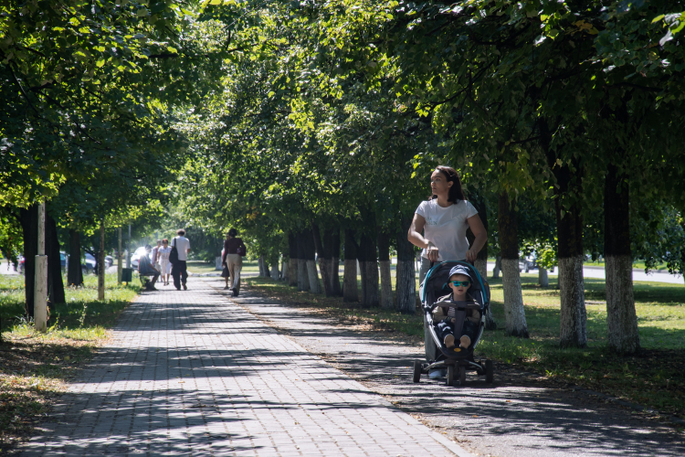 Городу не хватает зелени, ее процент хотели увеличить за счет создания новых общественных пространств. Разработчики генплана тогда определили, что в Челнах всего 17% зелени (2 905 га) при нормативе не менее 25%