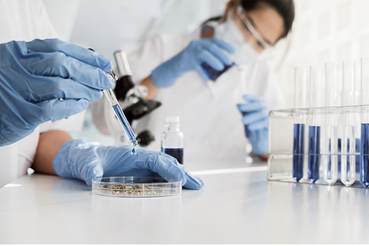 В лаборатории станет изучаться кровь или выщип волос животных. Так будет определяться генетическая ценность животного — ее накладывают на фенотипы и экономику предприятия В лаборатории станет изучаться кровь или выщип волос животных. Так будет определяться генетическая ценность животного — ее накладывают на фенотипы и экономику предприятия