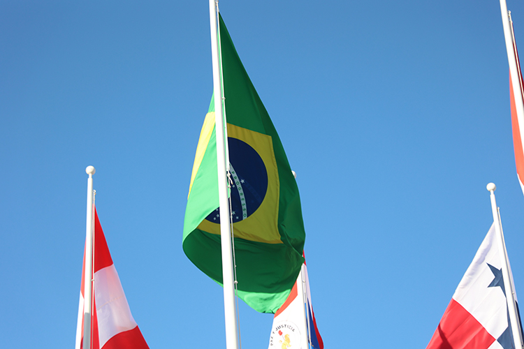 «Почему в Бразилии недостаток политической воли? Потому что во всех наших странах, даже в России и Китае, есть так называемая пятая колонна, которая работает в интересах Запада. Они глубоко сидят и в бизнесе, и в правительстве, и в масс-медиа. В Бразилии она очень ярко выражена» «Почему в Бразилии недостаток политической воли? Потому что во всех наших странах, даже в России и Китае, есть так называемая пятая колонна, которая работает в интересах Запада. Они глубоко сидят и в бизнесе, и в правительстве, и в масс-медиа. В Бразилии она очень ярко выражена»