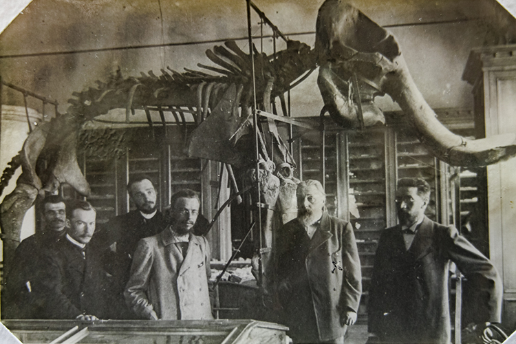 «Бог геологии»: 150 лет со дня рождения казанского профессора Михаила Ноинского