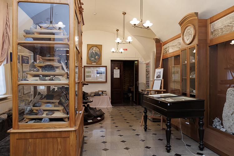 Карьеру в альма-матер Михаил Эдуардович начал в роли хранителя геологического кабинета, а дальше медленно, но верно поднимался по ступенькам научно-карьерной лестницы