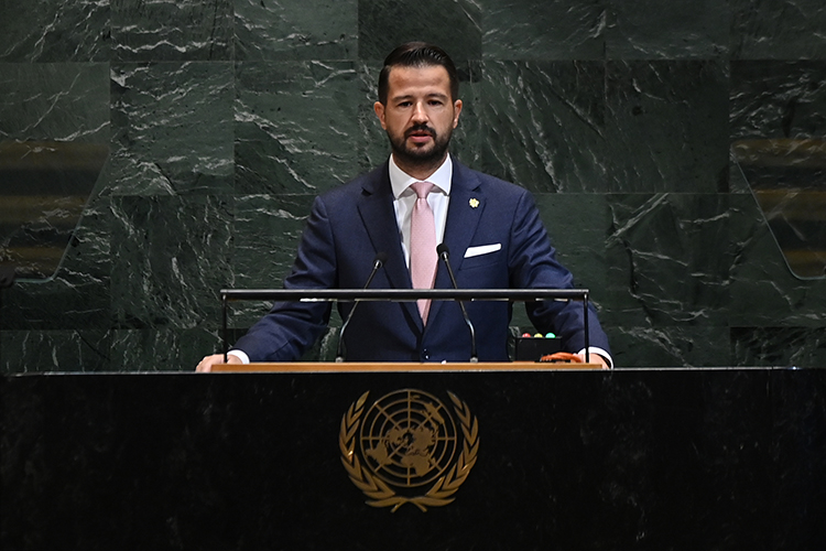 Президент Яков Милатович, известный своими антироссийскими взглядами, публично раскритиковал действия правительства, заявив, что они могут противоречить курсу на европейскую интеграцию, провозглашаемому ключевой стратегической целью страны