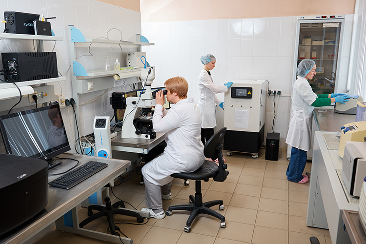 «Мы сейчас активно разворачиваемся в сторону разработки средств защиты растений»