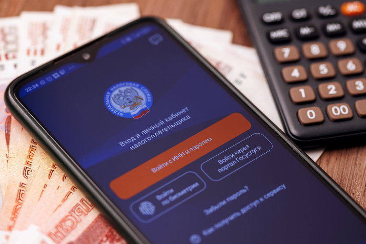 В этом году ФНС разослала более 2,1 млн налоговых уведомлений на внушительные 11,5 млрд рублей, это на 1,8 млрд или на 18% больше, чем год назад