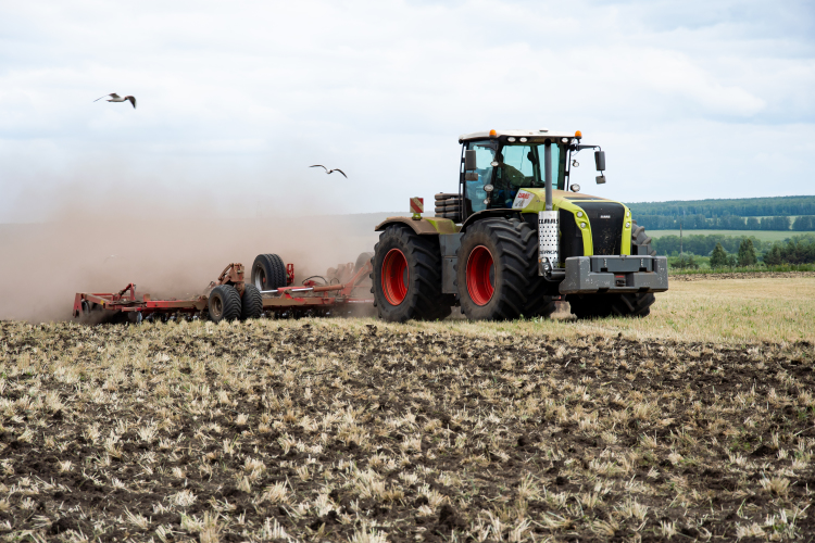 48,6% в экономике Муслюмово занимает сельское хозяйство