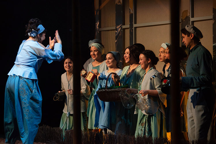 Спектакль, по сути, — это пародия и философская притча одновременно, которая будет интересна любителям живой интеллектуальной драмы, зрителям, ценящим актуальную социальную критику