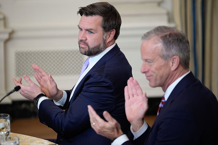 «Я вообще считаю, что эта группа американских политиков — Джей Ди Вэнс и прочие — искренне симпатизирует Владимиру Путину»