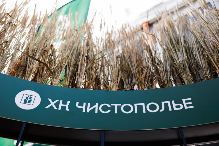 В 2024 году оборот всех компаний, входящих в структуру «Чистополья», увеличился почти в 2 раза — с 11,3 млрд до 22,2 млрд рублей