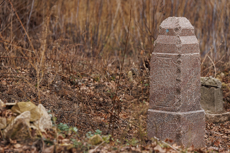 «Мы для себя абсолютно точно ставим задачу по кладбищу Бишбалта. В октябре выезжали, посмотрели — надо, конечно, очень степенно, не торопясь, подходить к этому вопросу»