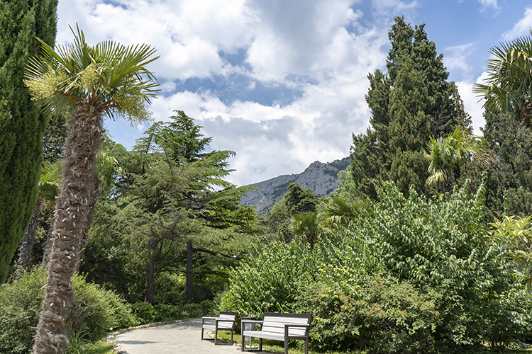 «Большую роль играет знаменитый форосский климат: солнце, тепло, насыщенный можжевеловыми фитонцидами воздух оказывают волшебный эффект»