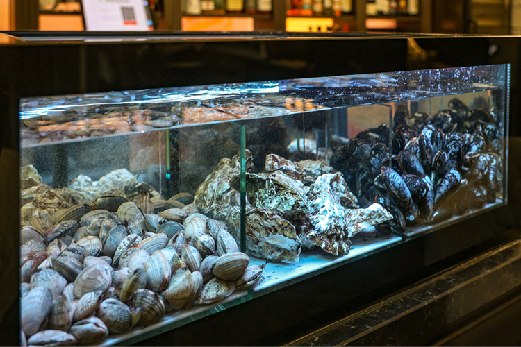 «Мы переосмыслили содержание в духе времени и запросов гостей. Раньше это был чисто рыбный ресторан, поэтому все самое популярное из легендарного меню, „повышающего либидо“, в нем осталось»