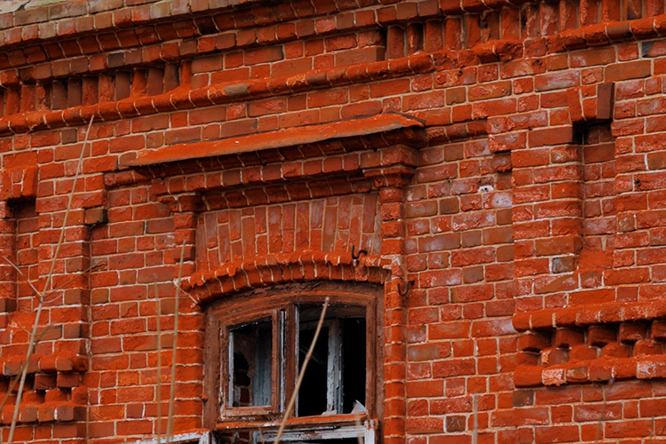 «ВООПИиК выезжало и обследовало территорию, привлекало дендролога, дополнительные исследования провел Институт развития города»