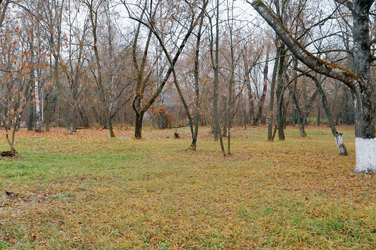 ВООПИиК нацелено и на проведение экскурсионных прогулок, для того чтобы показать эти красивые, но порядком забытые места города